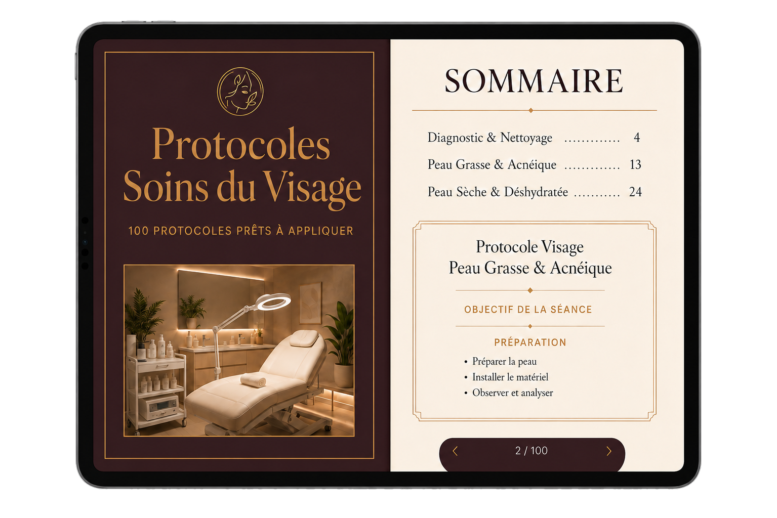 100 Protocoles Soins du Visage