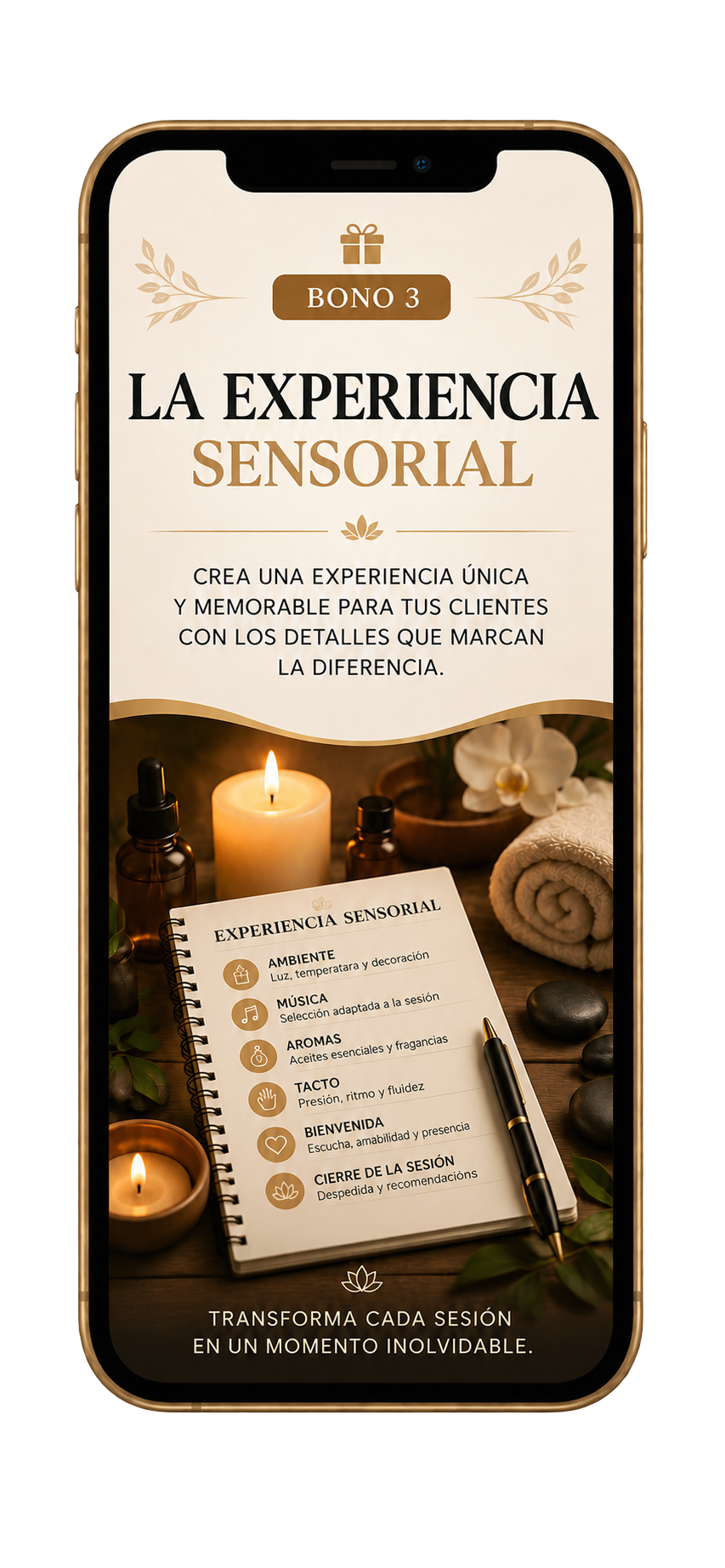 La Experiencia Sensorial